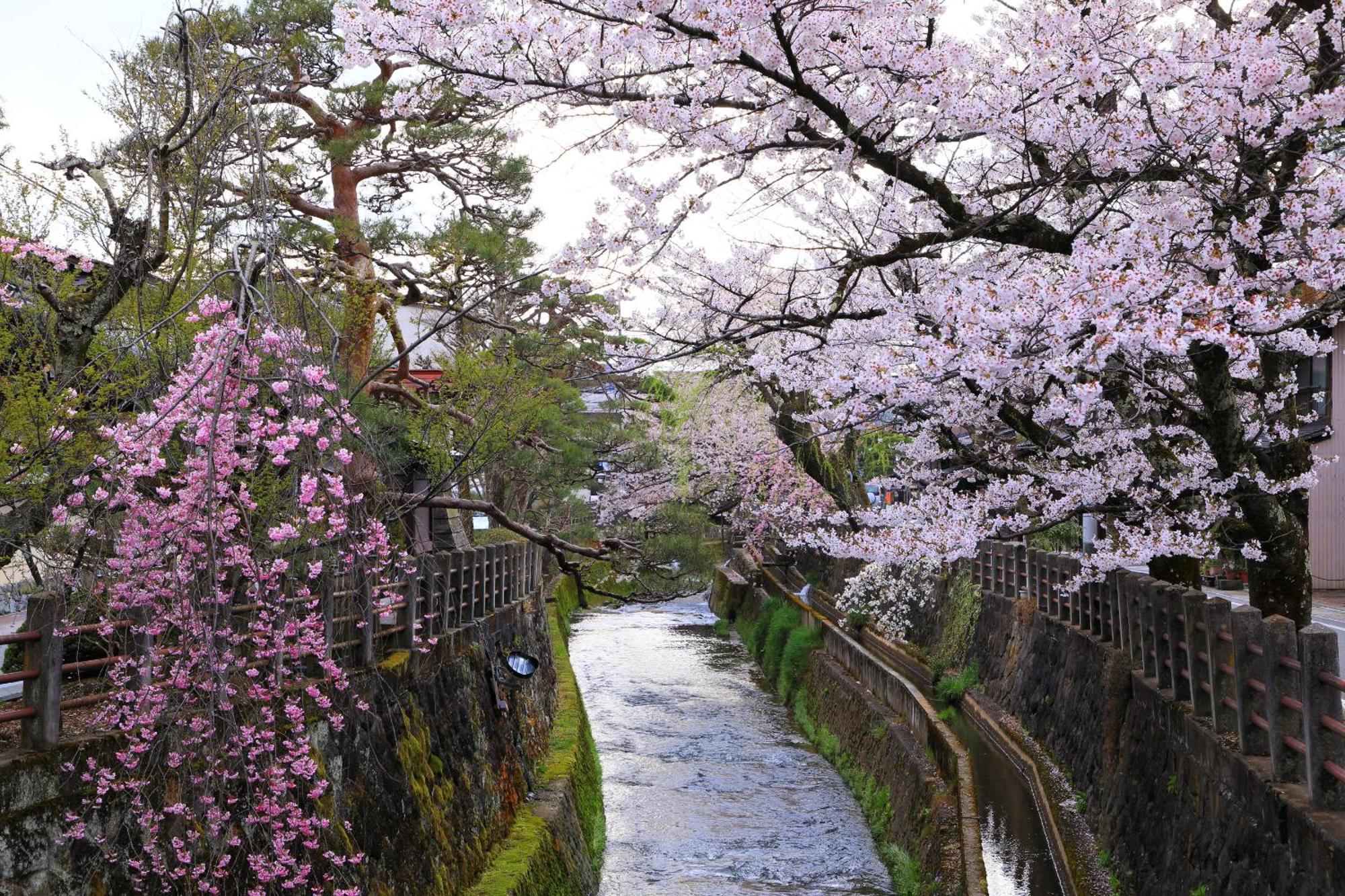 Rikka Fukiya Lägenhet Takayama  Exteriör bild